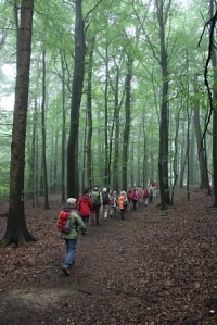 Begegnungstag Pilgerbegleiter 2015_unerwegs im Wald Begegnungstag Pilgerbegleiter 2015_unerwegs im Wald