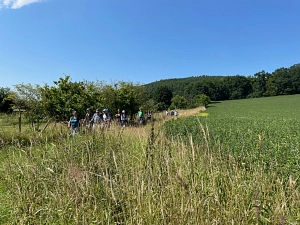 Pilgern durchs hohe Gras