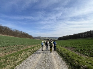 Pilgerweg Friedland Rustefelde März 2024_Bild Klaas Grensemann.JPG